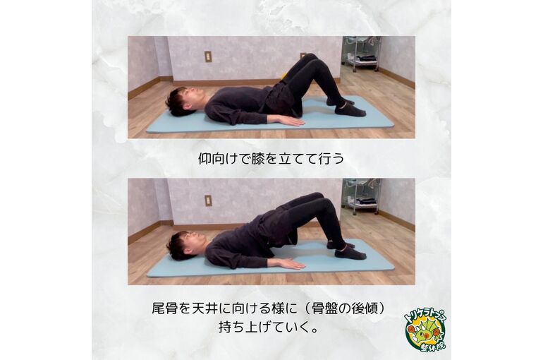 もも裏　ハムストリング　エクササイズ
