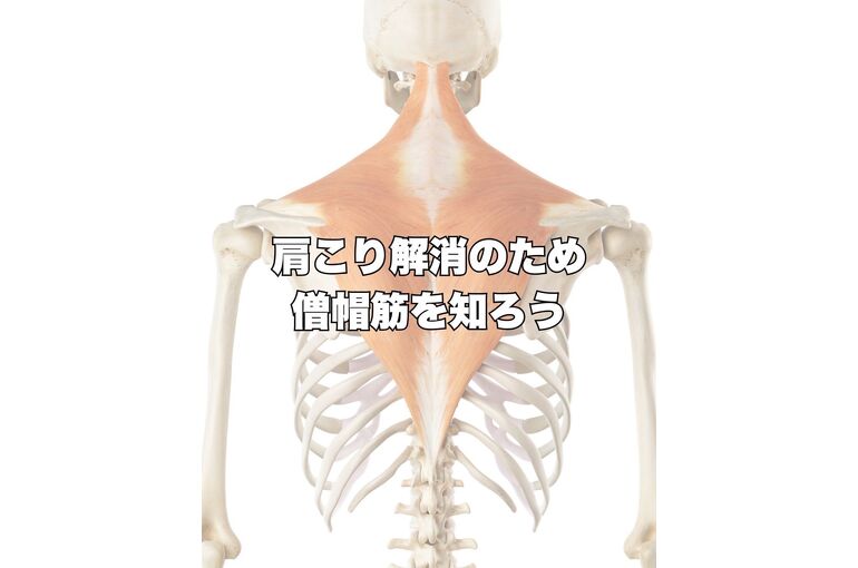 整体　三島　肩こり