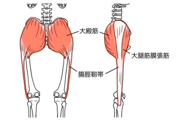 腸脛靭帯