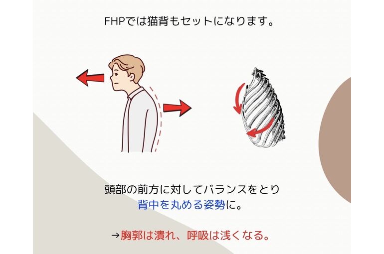 肋骨　呼吸